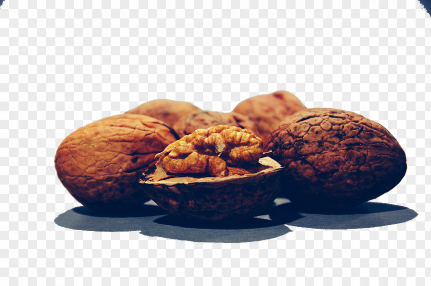 Walnut Download Stock Photography PNG
