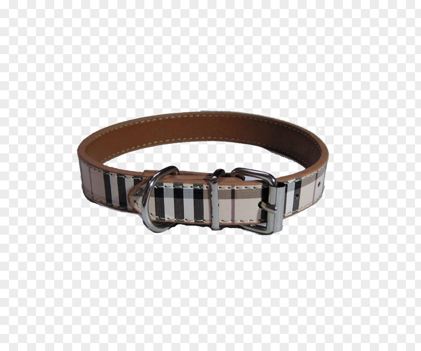 Dog Collar Belt Metal PNG