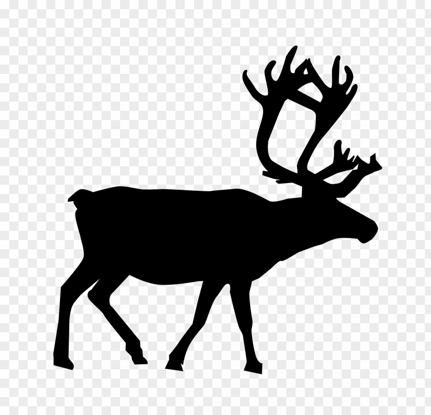 Elk Head Reindeer Clip Art PNG