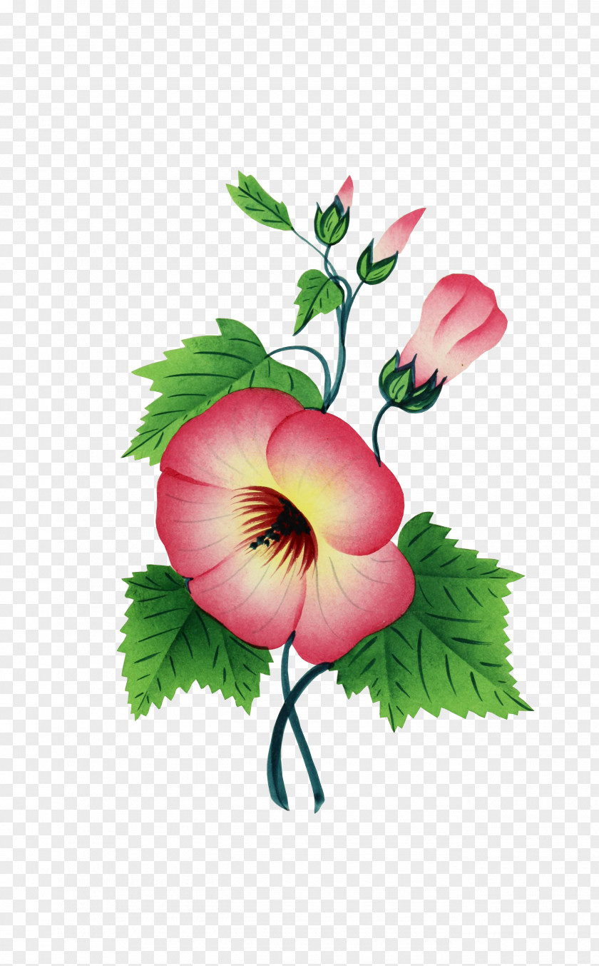 Isolated Vector Flower PNG