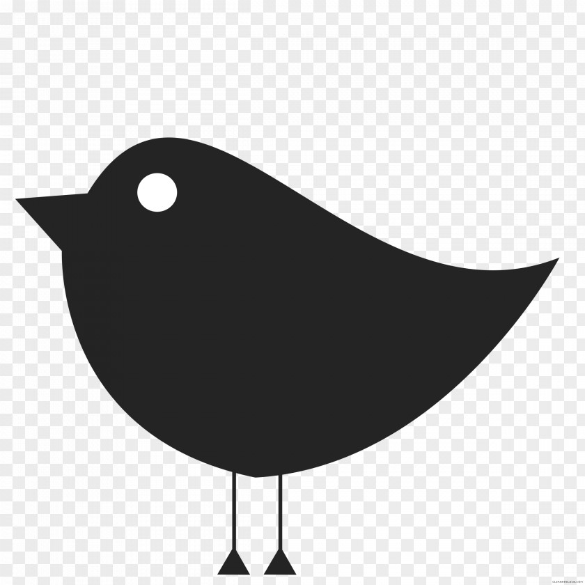 Clip Black And White Birdhouse Drawing: Colored Pencil Vector Graphics Art Image PNG
