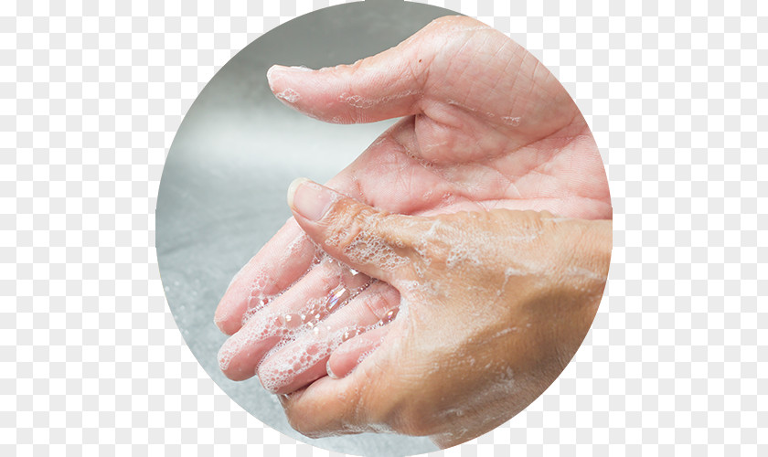 Hand Washing Pinworm Infection Soap Health PNG