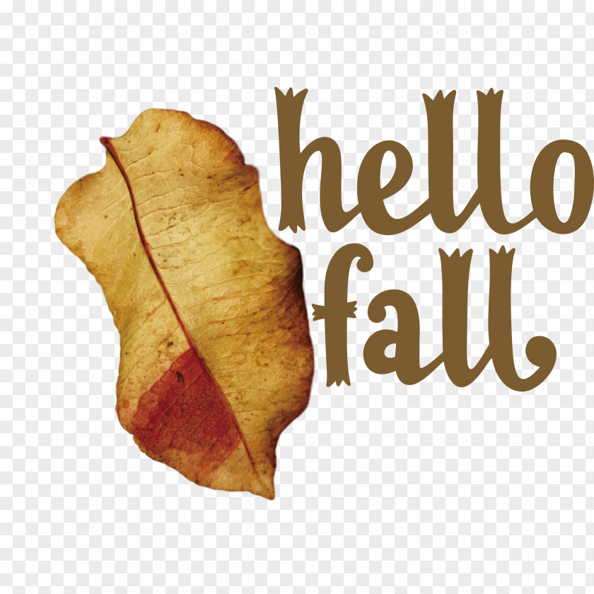 Hello Fall Fall Autumn PNG