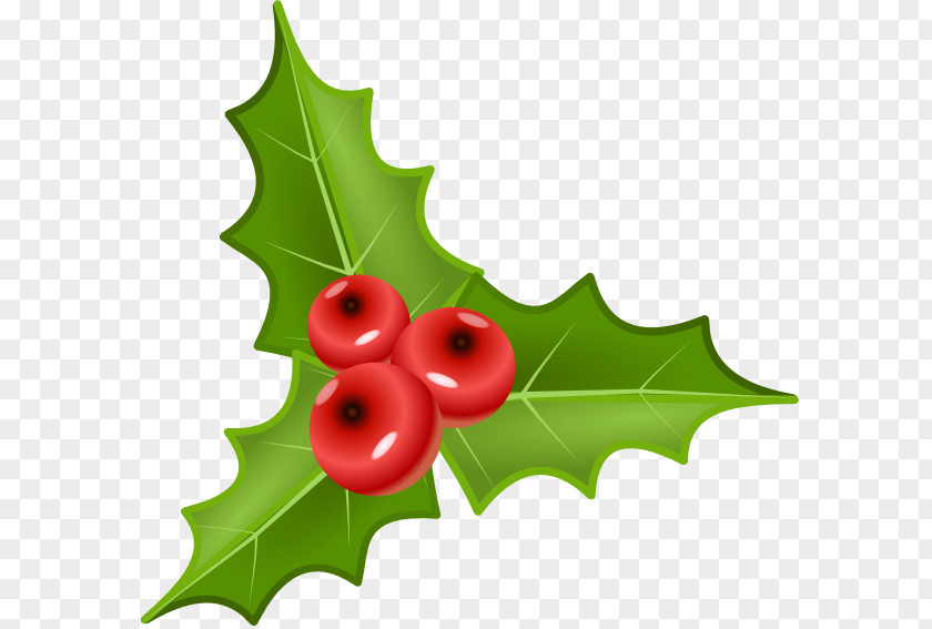 Picture Of Holly Berries Common T-shirt Clip Art PNG