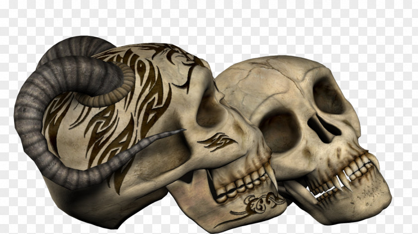 Skull Skeleton Gothic Art Photography PNG