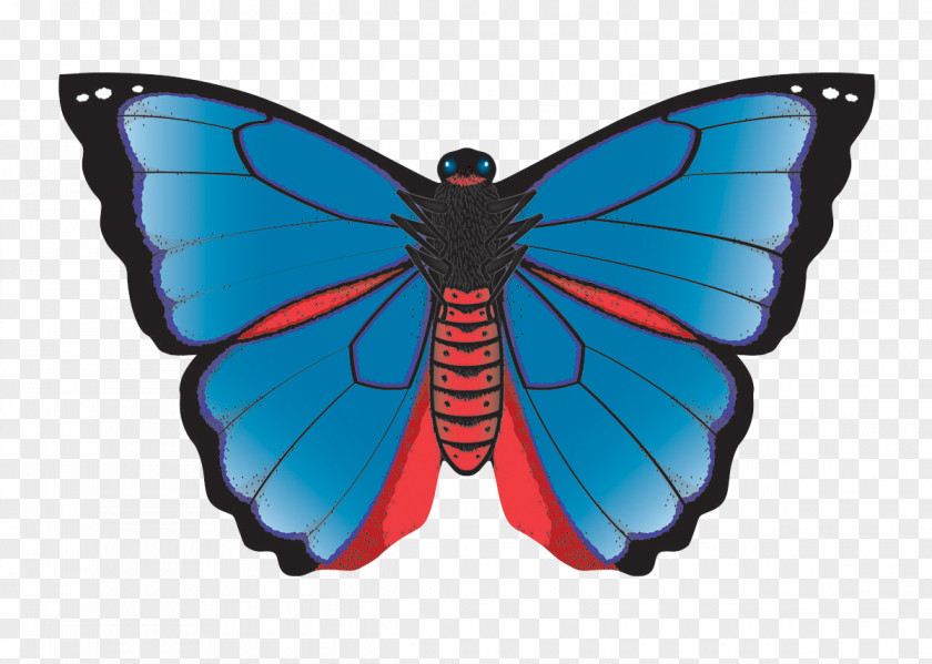 Summer Shopping Season Discount Monarch Butterfly Karner, New York Karner Blue Kite PNG