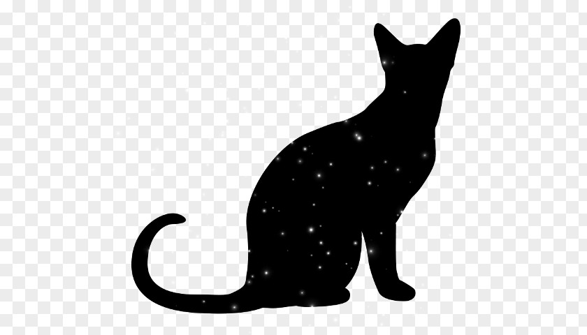 Cat Vector Graphics Clip Art Image Silhouette PNG