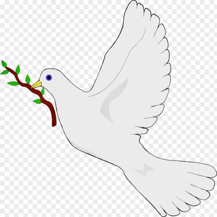 Feather Peace PNG