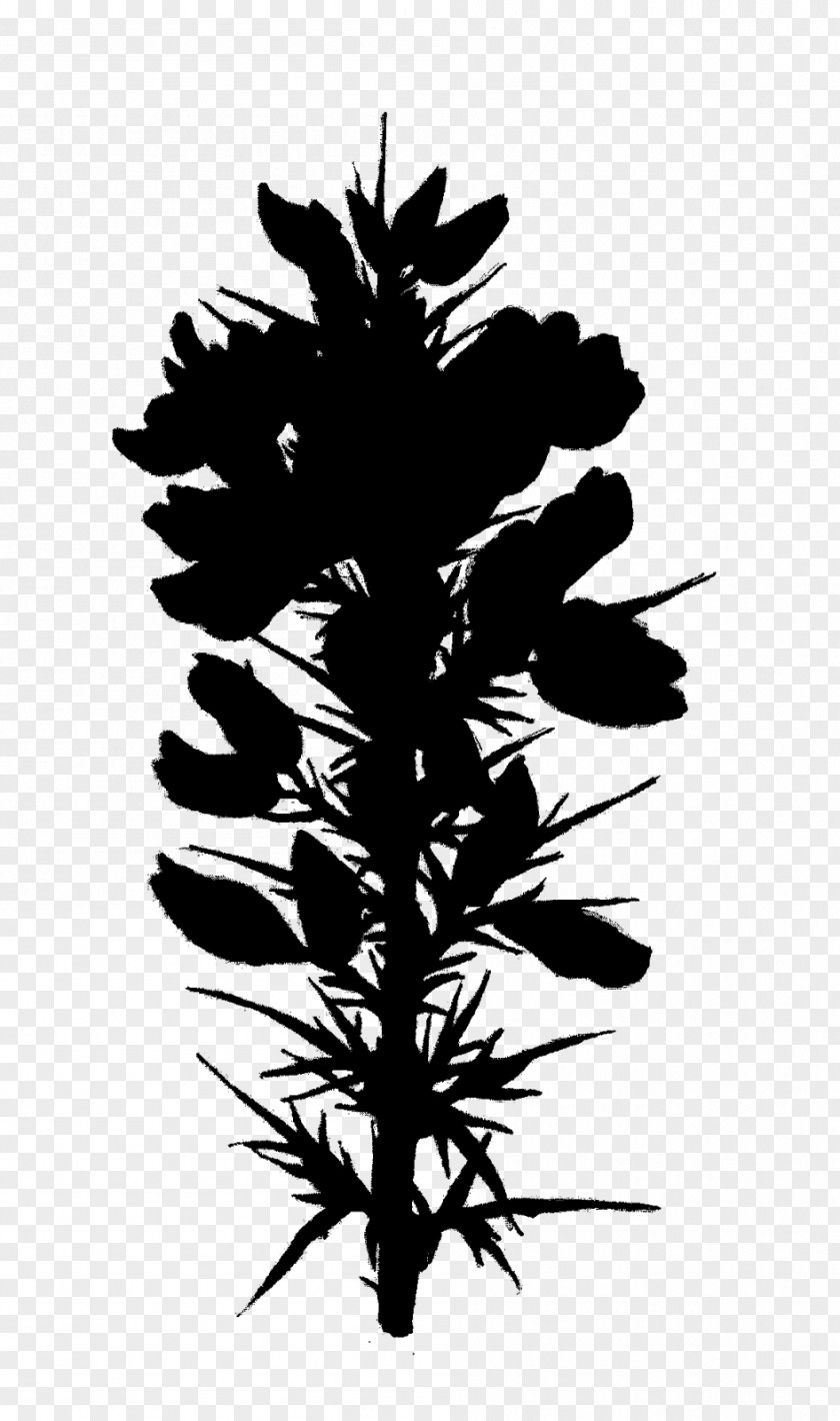 Flower Plant Stem Leaf Pine Font PNG