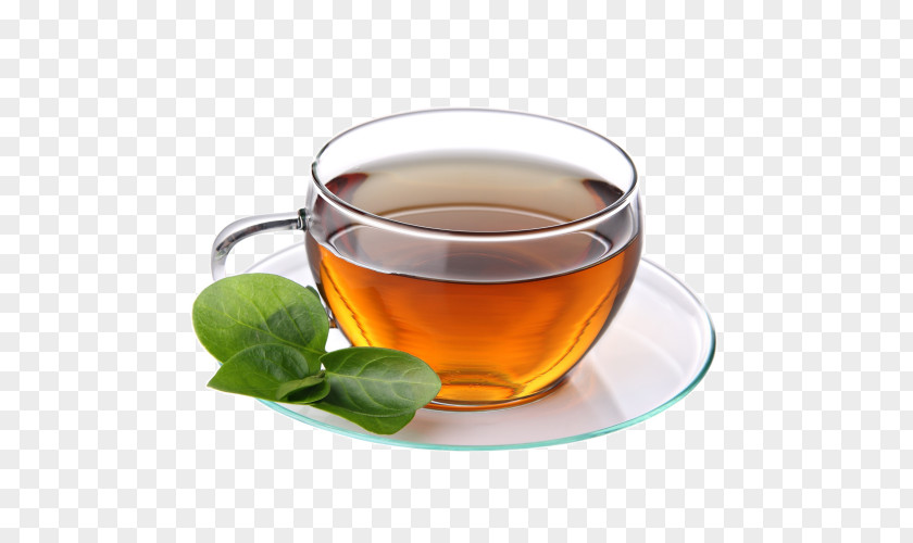 Tea Green Coffee Cafe Teacup PNG