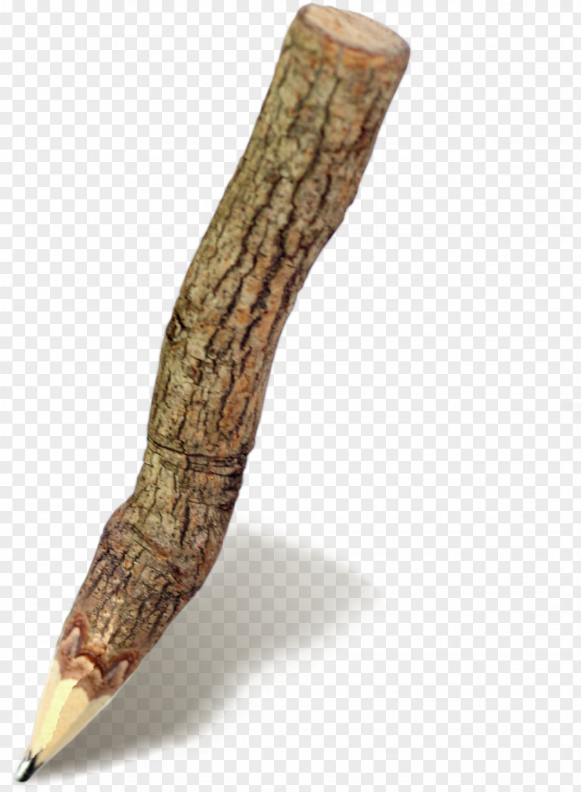 Posters Trees Theme Warm Winter Deals Bark Tree Pencil PNG