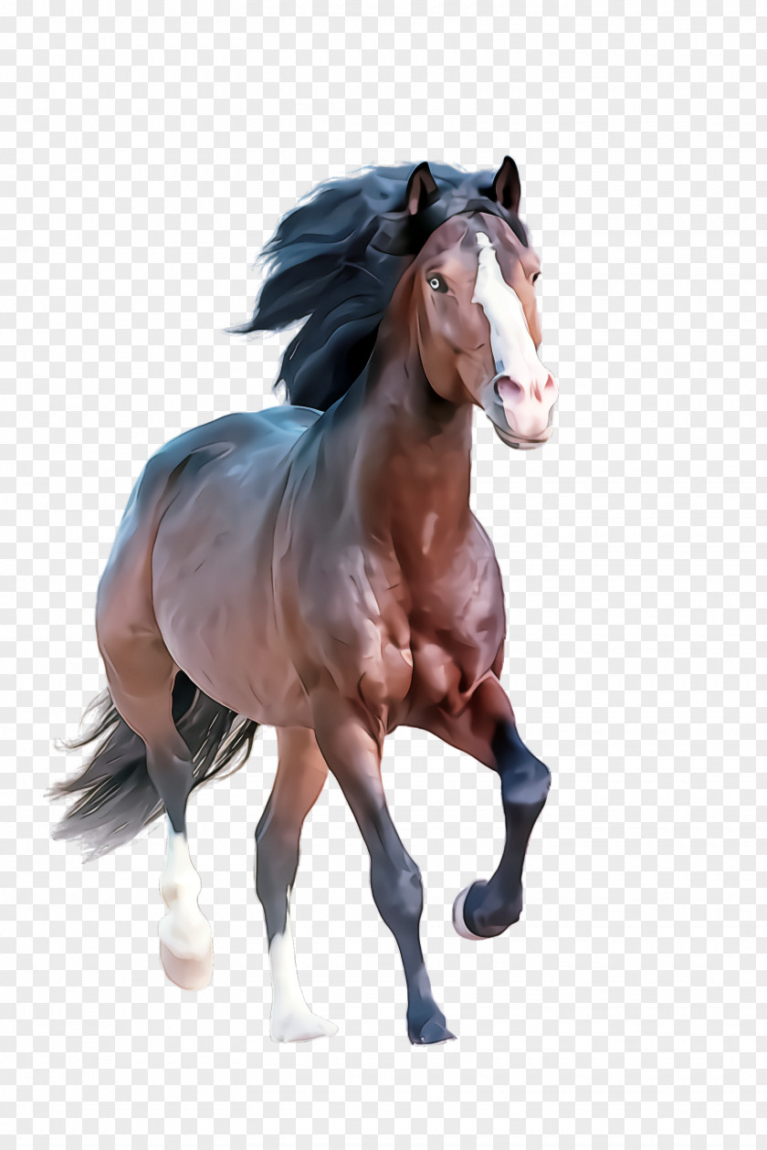 Sorrel Mare Horse Animal Figure Mane Stallion PNG