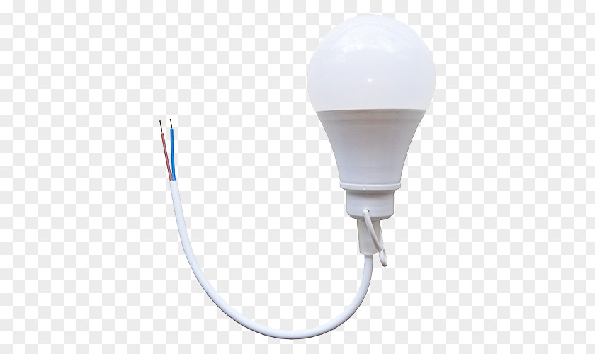 Fish In A Bulb Lighting PNG