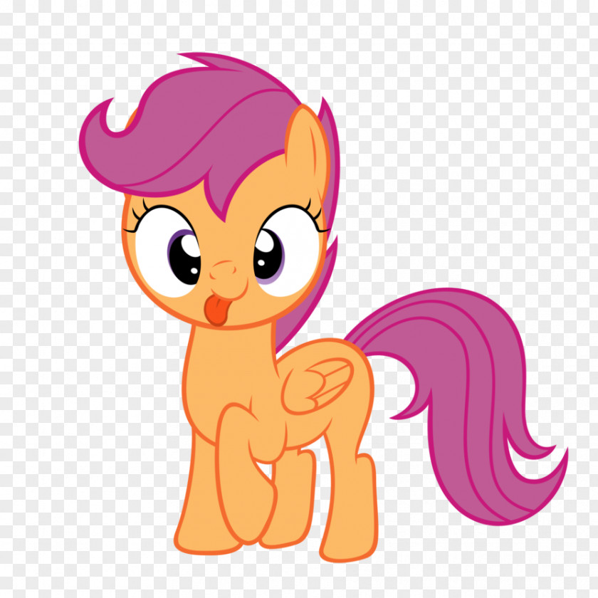 My Little Pony Scootaloo Rainbow Dash Rarity Twilight Sparkle PNG