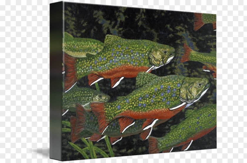 Painting Brook Trout Art Imagekind PNG