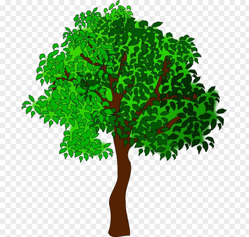 Tree Clip Art Openclipart Season Image PNG