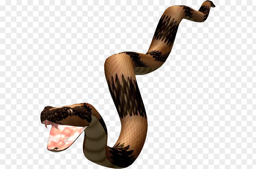 Animaux Snakes Image Animal Adatformátum PNG