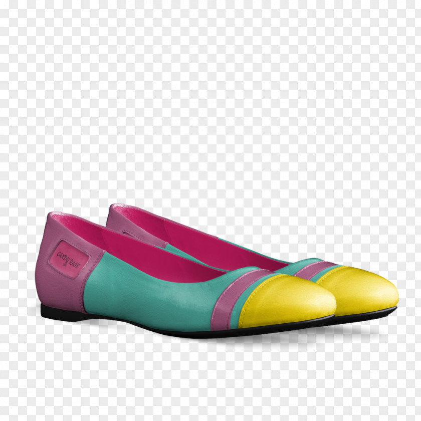 Ballet Flat Shoe PNG