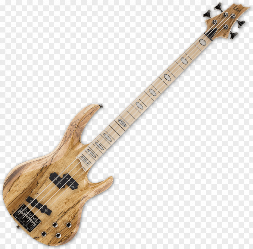 Bass Guitar Musical Instruments ESP LTD EC-1000 String PNG
