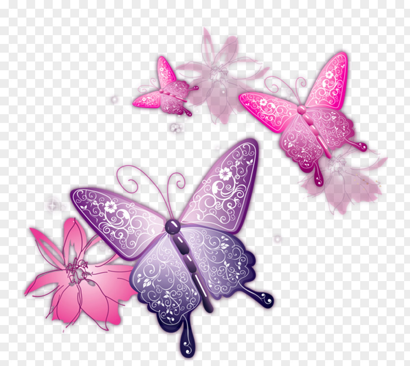 Clip Art Butterfly Transparency Vector Graphics PNG