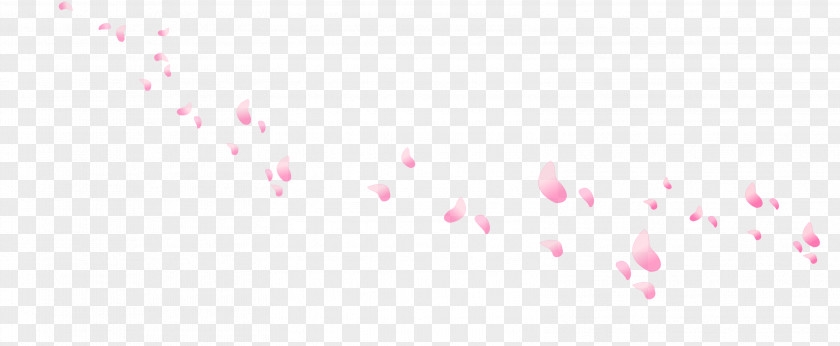 Flower Petals Petal Adobe Photoshop Pink Image PNG