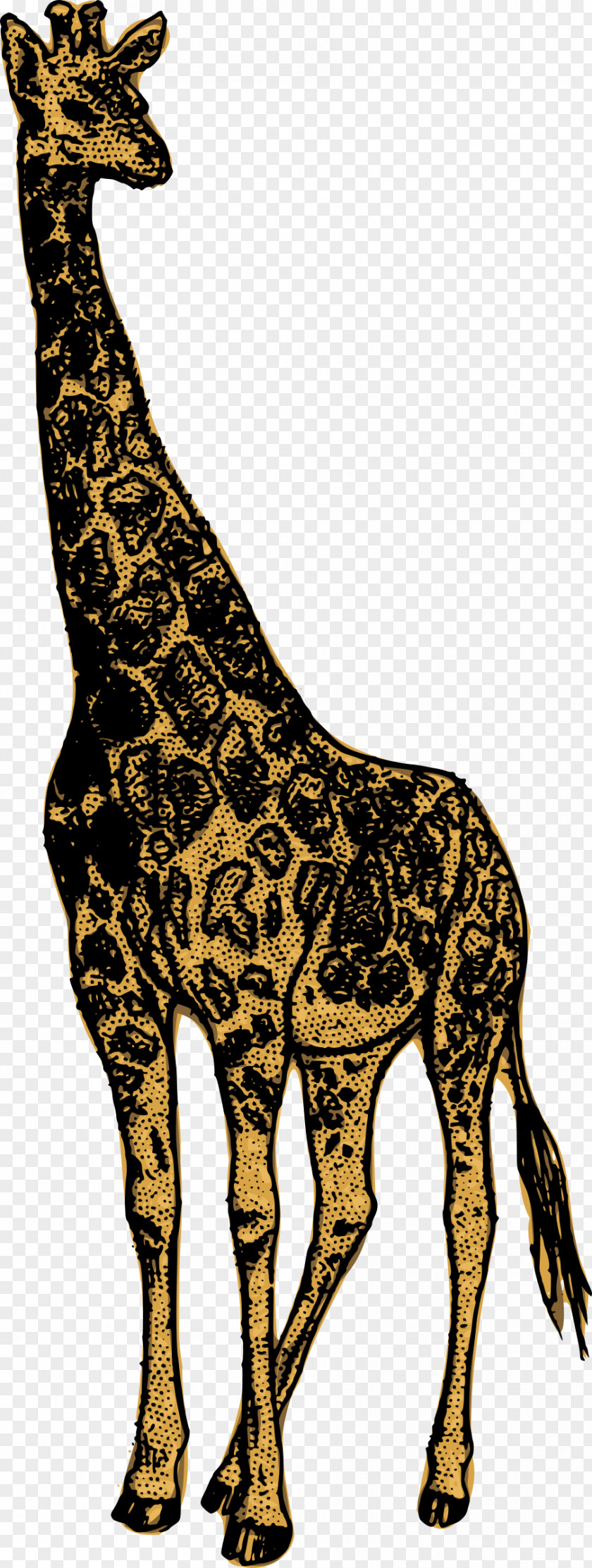 Gorgeous Signboard Giraffe Animal Clip Art PNG