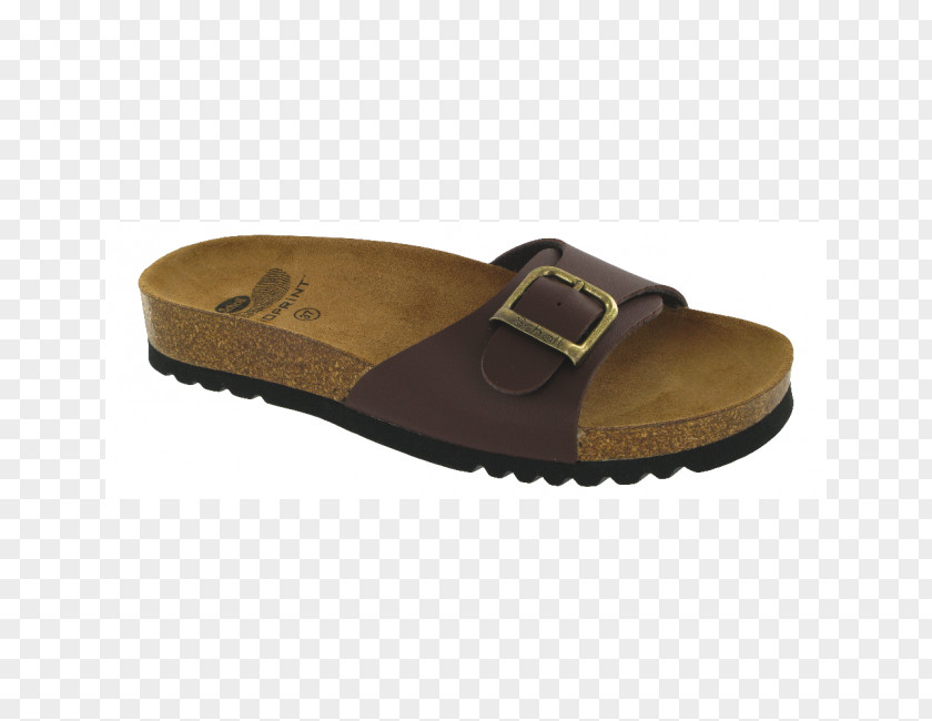 Sandal Birkenstock Shoe Mule Clog PNG