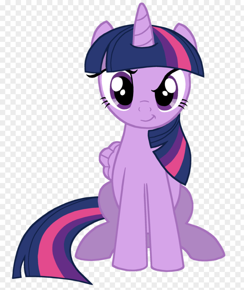 Smirk Pony Twilight Sparkle Rainbow Dash The Saga PNG