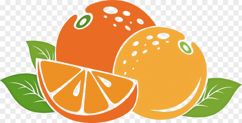 Tangelo Valencia Orange PNG