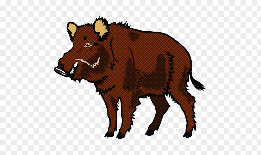 Boar Suidae Livestock Warthog Bison PNG