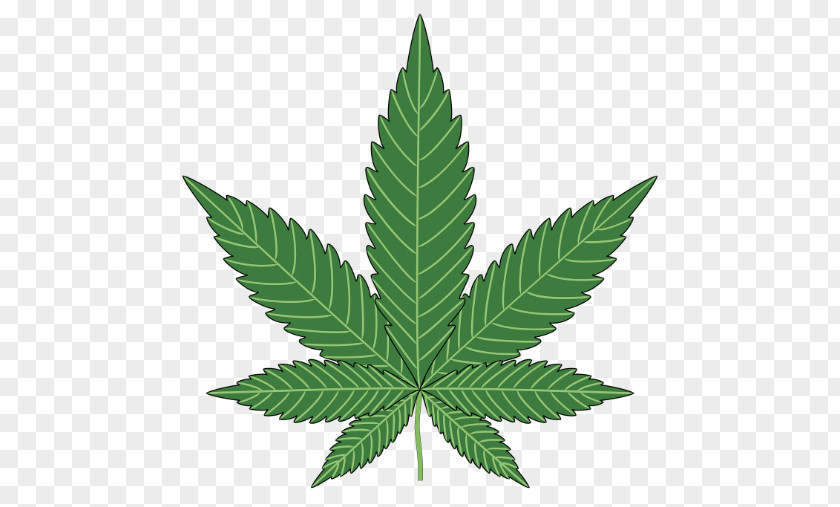 Cannabis Medical 420 Day Hemp Smoking PNG