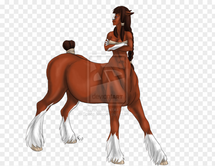 Centaur Clydesdale Horse Moose Foal Stallion PNG