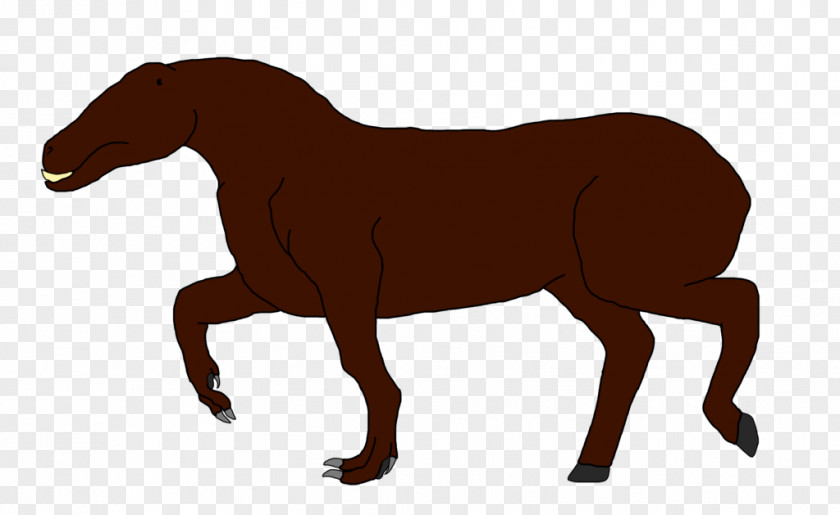 Drake Mustang Stallion Pony Mare Halter PNG