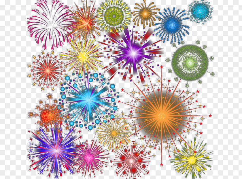 Fireworks Dahlia Floral Design Pattern PNG