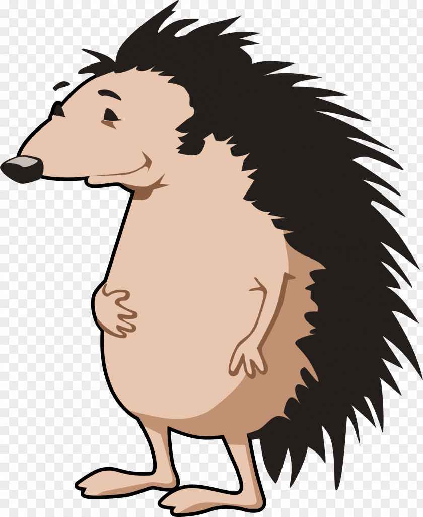 Porcupine Cliparts Hedgehog Free Content Clip Art PNG