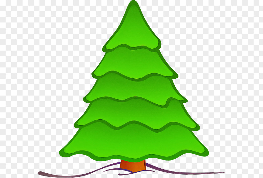 Spruce Conifer Christmas Tree PNG