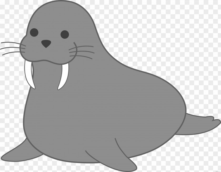 Walrus Earless Seal Clip Art Free Content PNG