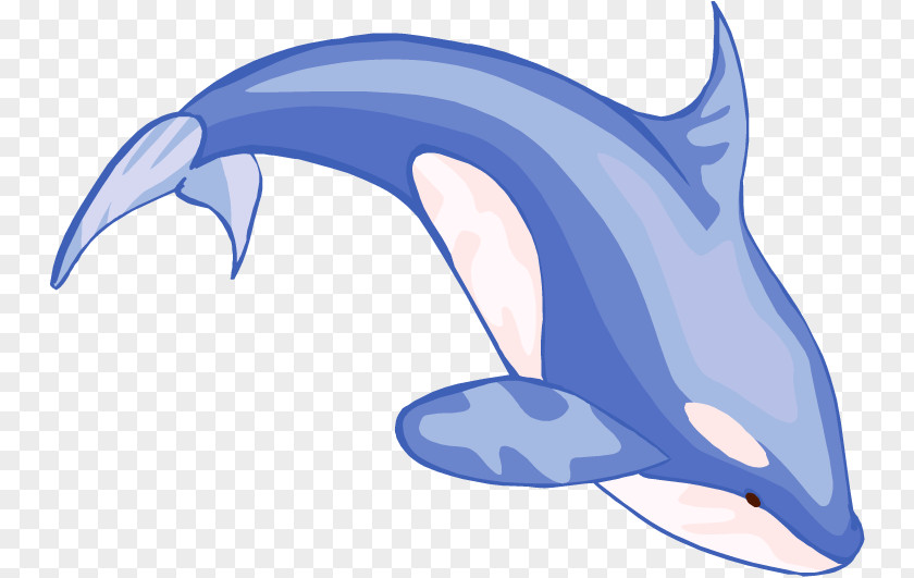 Whale Blue Beluga Clip Art PNG
