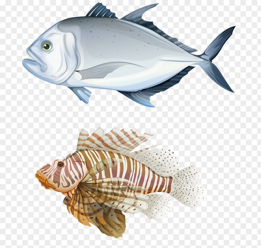 White Fish And Flying Giant Trevally Carangidae Royalty-free Illustration PNG