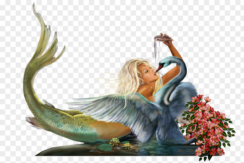 Mermaid Siren Legendary Creature Forumactif Word PNG