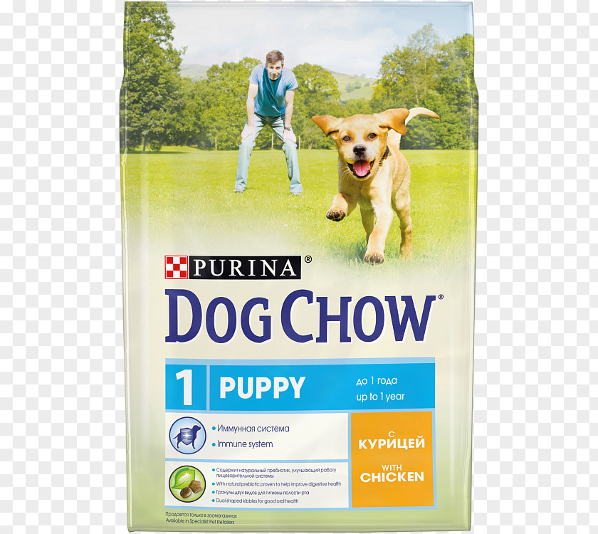 Puppy Dog Chow Food Nestlé Purina PetCare Company PNG
