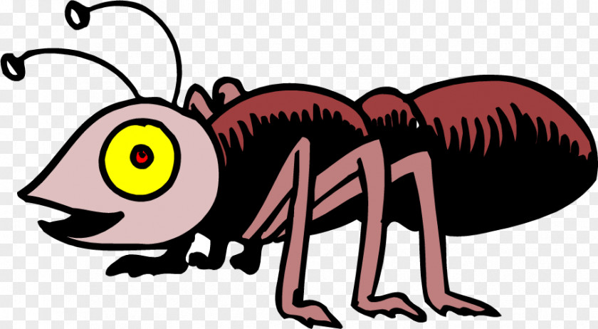 Black Ants Ant Insect Clip Art PNG