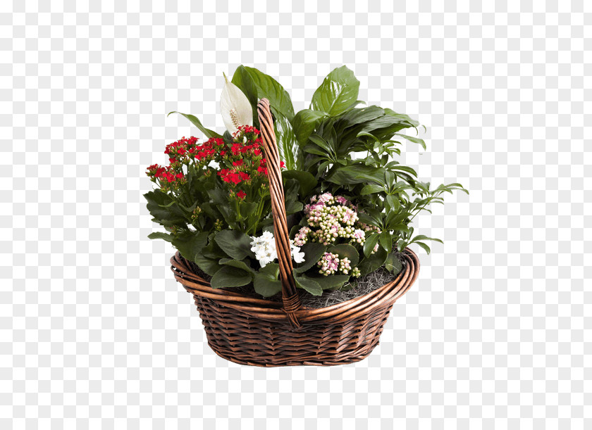 Flower Food Gift Baskets Floral Design Cut Flowers PNG