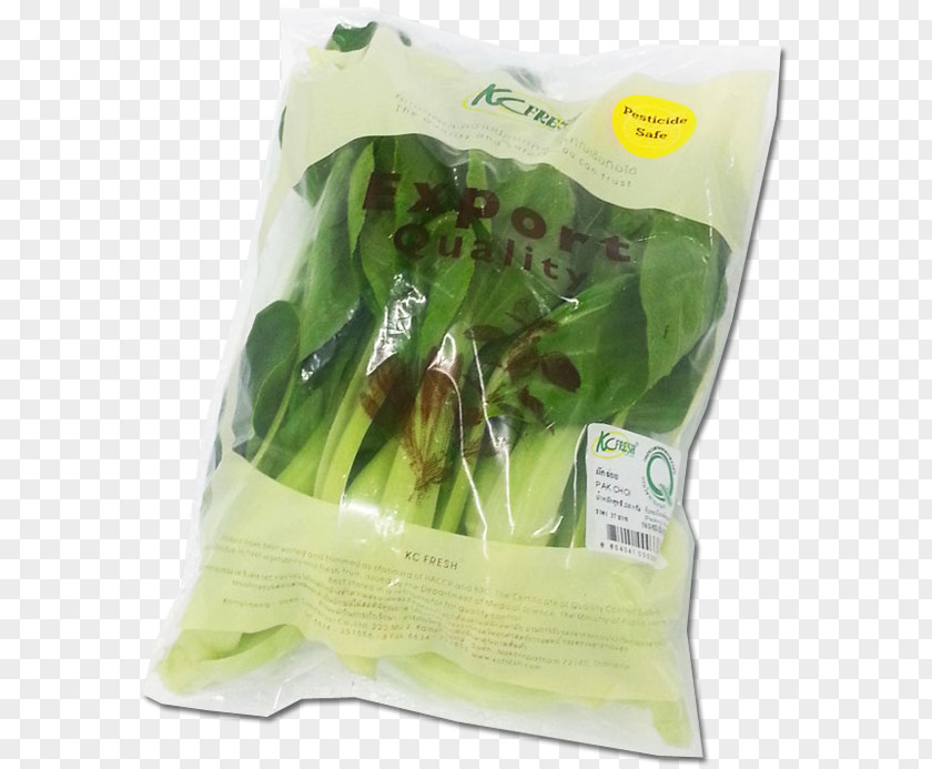 Measure Thai Spring Greens Choy Sum Herb Leaf Vegetable PNG