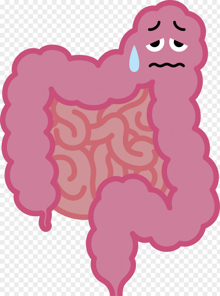 医疗 Seitai Feeling Tired Intestine Abdominal Tenderness 鍼灸 PNG