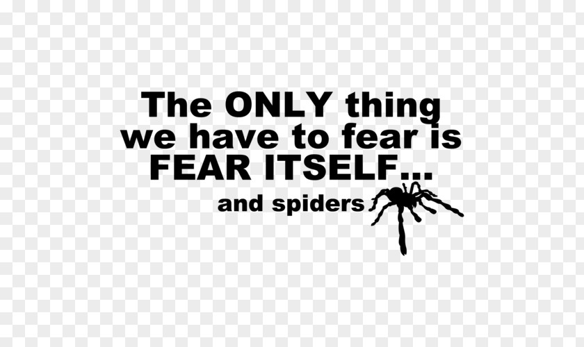 Try To Have Activities Without Fear T-shirt Spider Pants Arachnophobia PNG