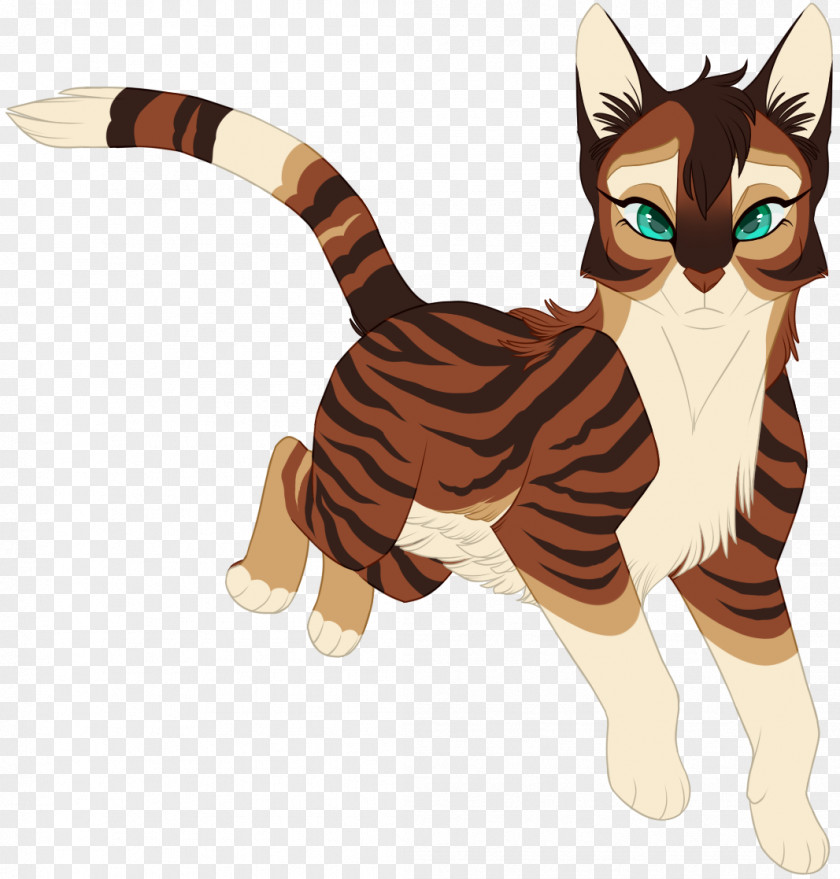 Cat Whiskers Illustration Cartoon Character PNG