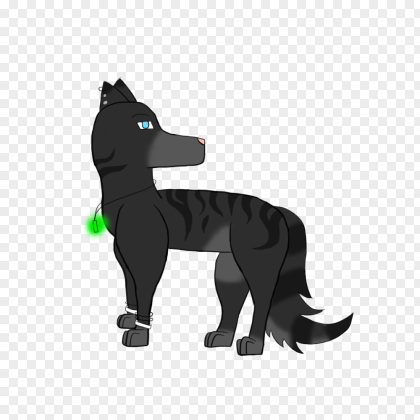 Dog Cat Mammal Character Cartoon PNG