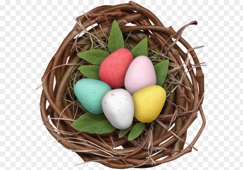 Egg Easter Bird Nest PNG