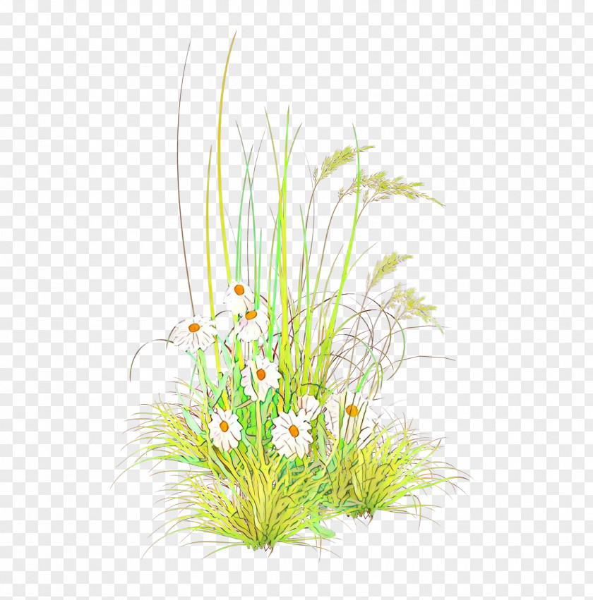 Sedge Family Wildflower Artificial Flower PNG